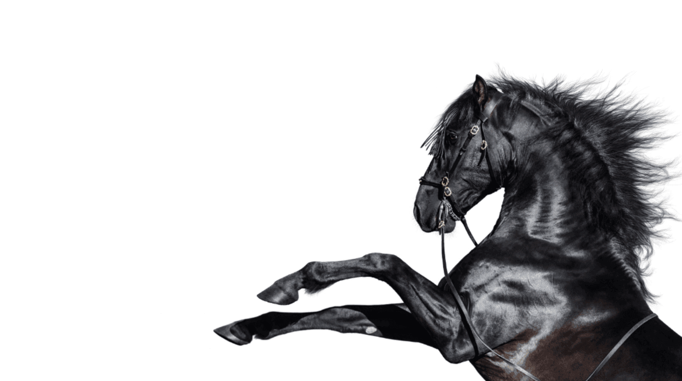 The Four Horsemen of the Apocalypse In Marriage